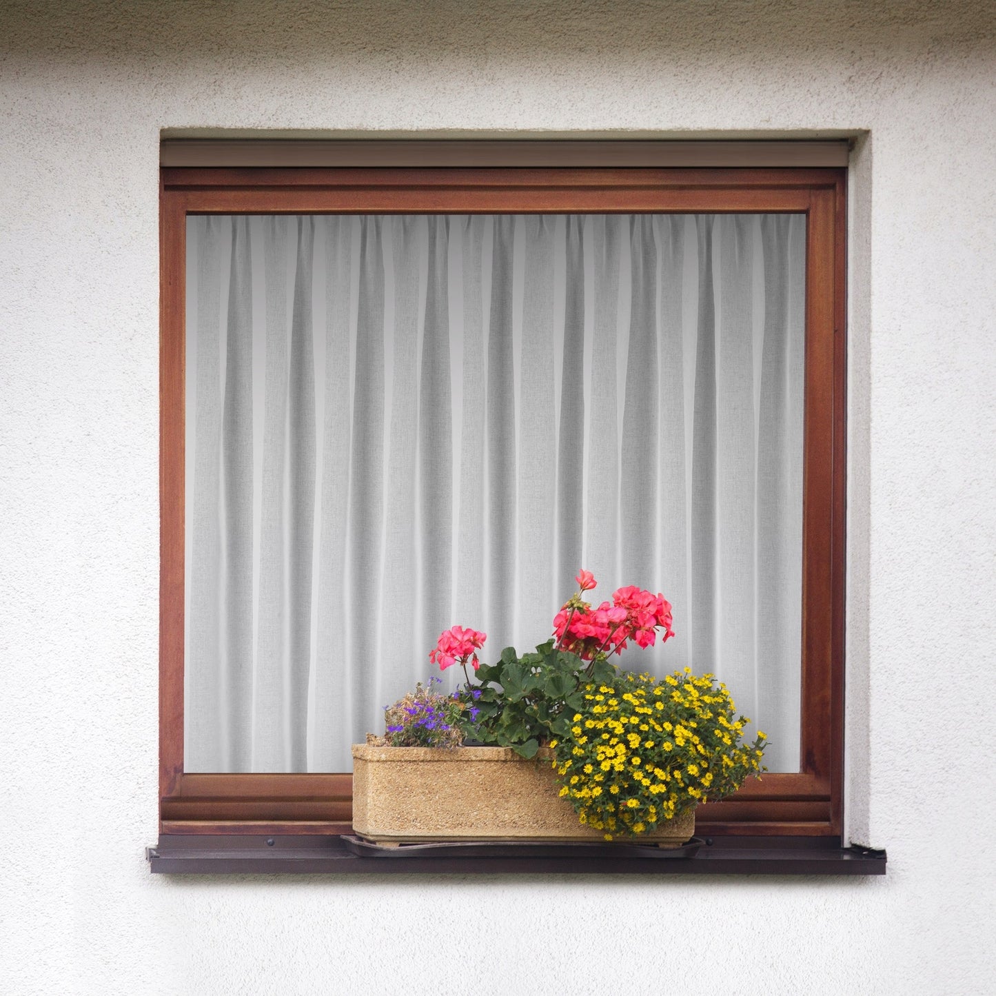 Dieninės Užuolaidos Astrid 300x160 cm