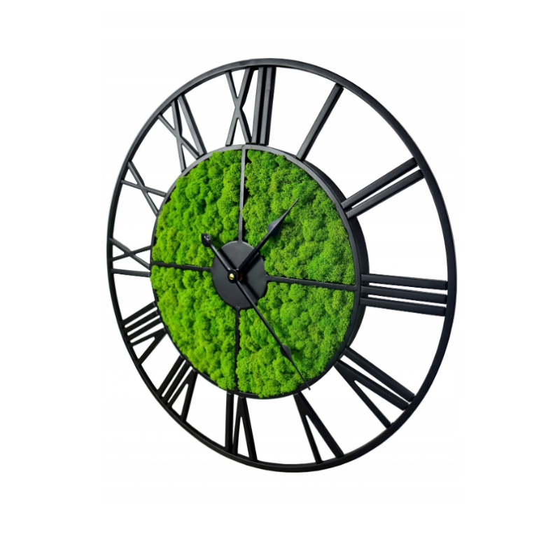 Sieninis Laikrodis Green Moss