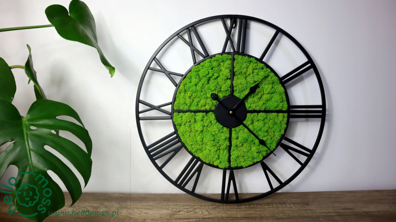 Sieninis Laikrodis Green Moss