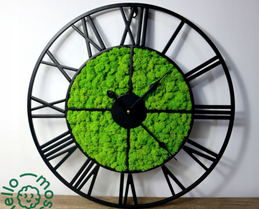 Sieninis Laikrodis Green Moss